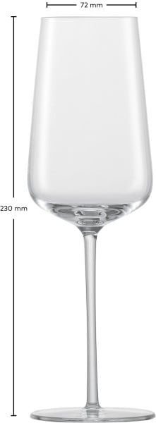 Schott Zwiesel Champagnerglas Vervino Rabatt