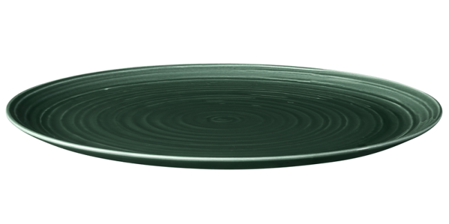 Seltmann Weiden Terra Speiseteller rund 31 cm Moosgrün uni Zeitlich begrenztes Angebot