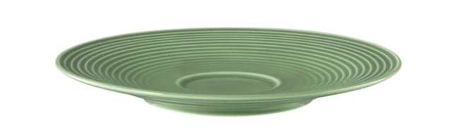 Seltmann Weiden Beat Kombi-Untertasse groß 16,5 cm Color Glaze Salbeigrün Preisnachlass