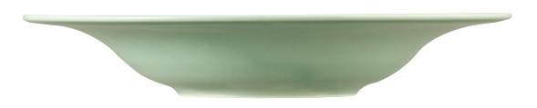 Seltmann Weiden Beat Pasta-/Salatteller 27,5 cm Color Glaze Salbeigrün Cyber Monday