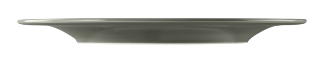 Seltmann Weiden Beat Speiseteller rund 27,5 cm Color Glaze Perlgrau Räumungsverkauf