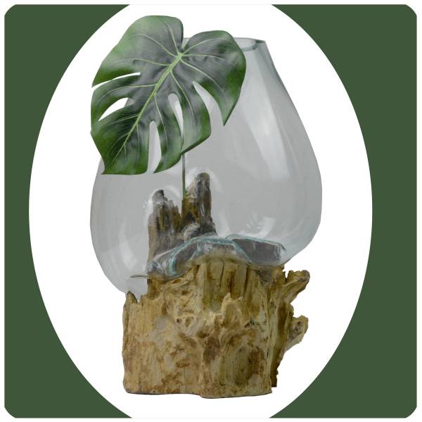 Simandra ***2.WAHL*** Wurzelholz Glas-Vase Wurzel-Vase Deko-Glas Kaffeewurzel Holz Design Blumenvase