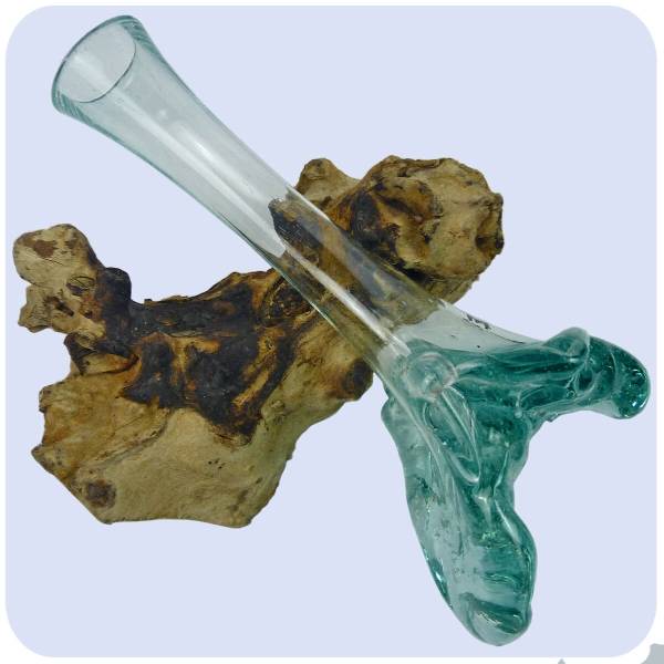 Simandra Wurzelholz Glas-Vase Wurzel-Vase Deko-Glas Holz Geschenk Unikat Objekt Design Blumenvase Karaffe im Angebot