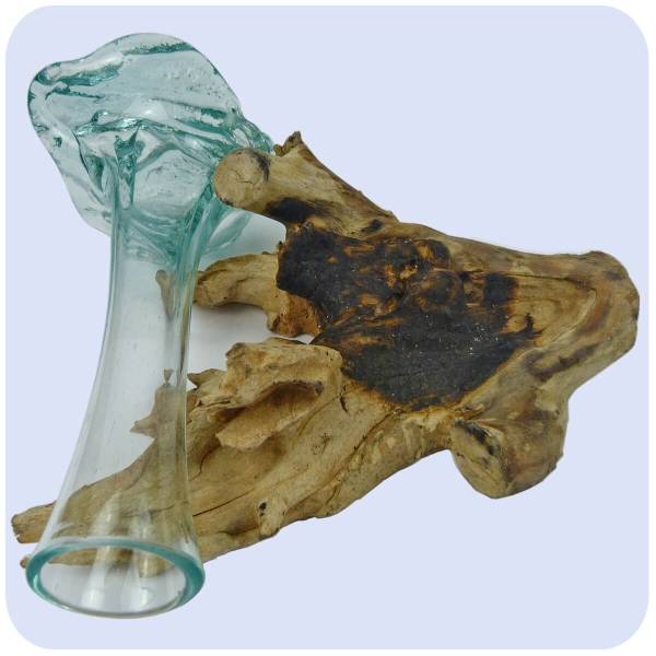 Simandra Wurzelholz Glas-Vase Wurzel-Vase Deko-Glas Holz Geschenk Unikat Objekt Design Blumenvase Karaffe im Angebot