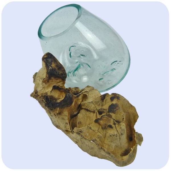 Simandra Wurzelholz Glas-Vase Wurzel-Vase Deko-Glas Holz Geschenk Unikat Objekt Design Blumenvase klein Schlussverkauf