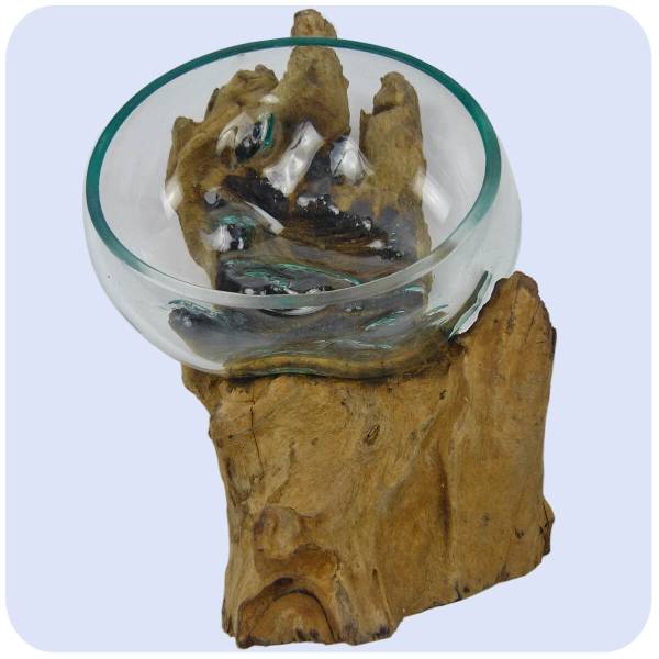 Simandra Wurzelholz Glas-Vase Wurzel-Vase Deko-Glas Holz Geschenk Unikat Objekt Design Blumenvase Schale
