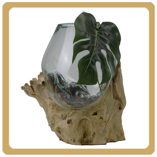 Simandra Wurzelholz Glas-Vase Wurzel-Vase Deko-Glas Kaffeewurzel Holz Design Blumenvase groß